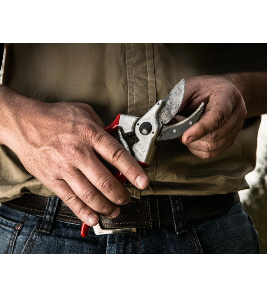 FORBICE CESOIA DA POTATURA FELCO 2