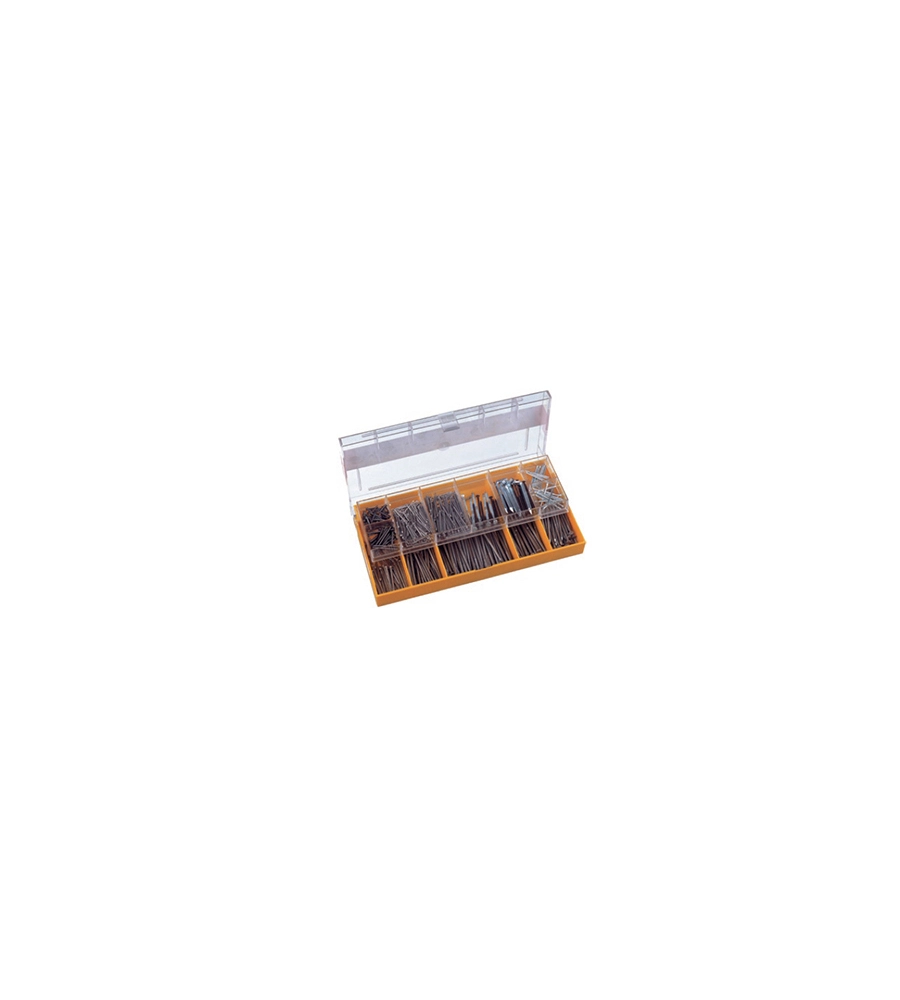ASSORTIMENTO CHIODI - 70 PZ.