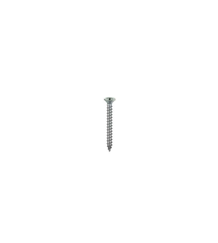 VITI AUTOFILETTANTI TESTA PIANA SVASATA INOX 3,9 X 19 - 20 PZ.