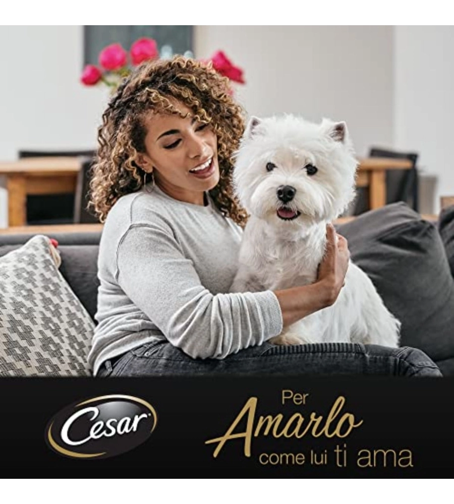 ALIMENTO UMIDO CANE CESAR "RICETTE CLASSICHE" CON MANZO E POLLO 150 GR