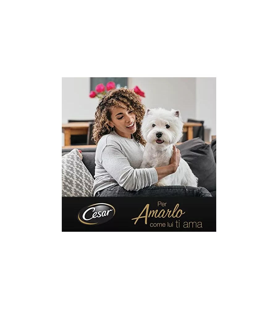 CESAR - UMIDO PER CANI MANZO E VERDURINE 150 GR