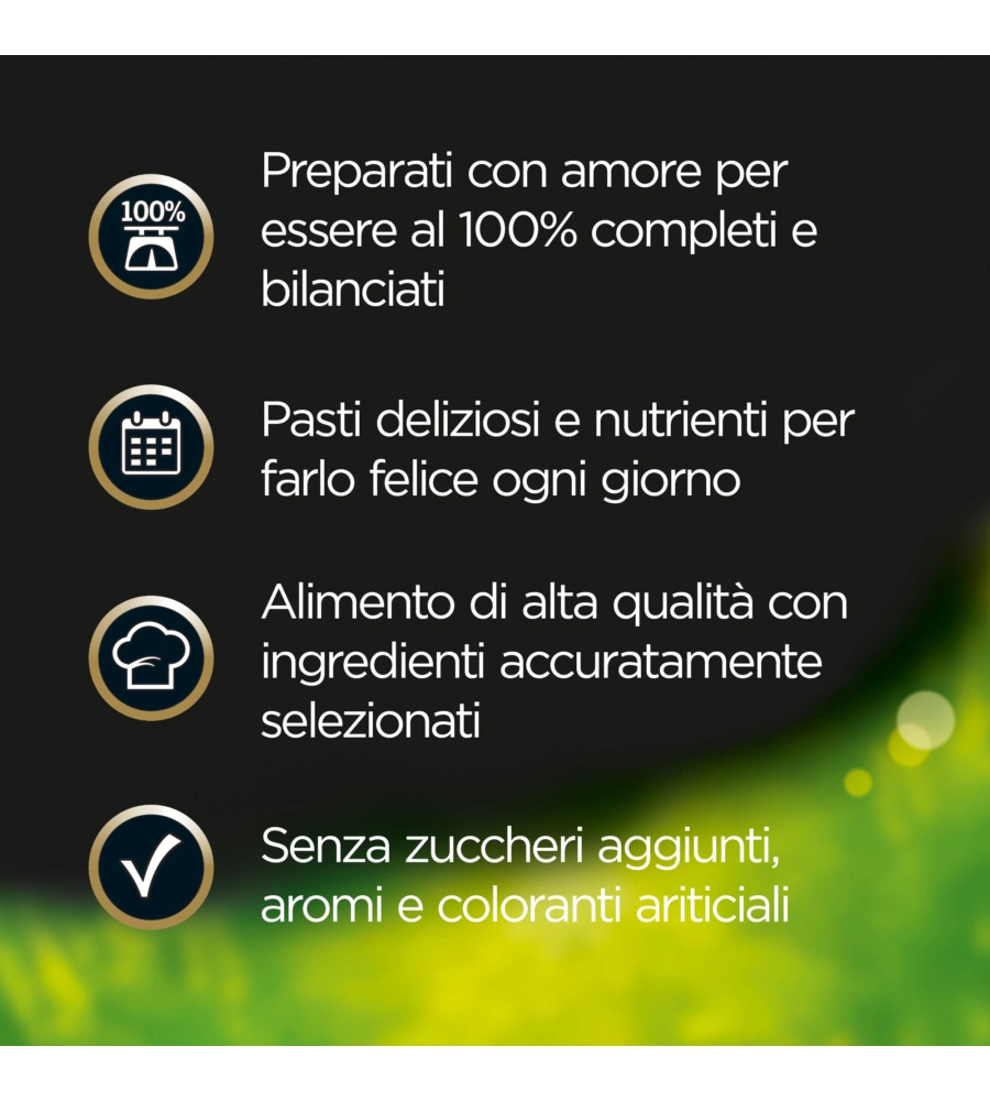 CESAR - UMIDO PER CANI POLLO E CAROTINE 150 GR