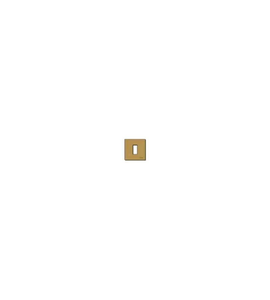 PLACCA 1M - ALLUMINIO - SCATTO BRONZO