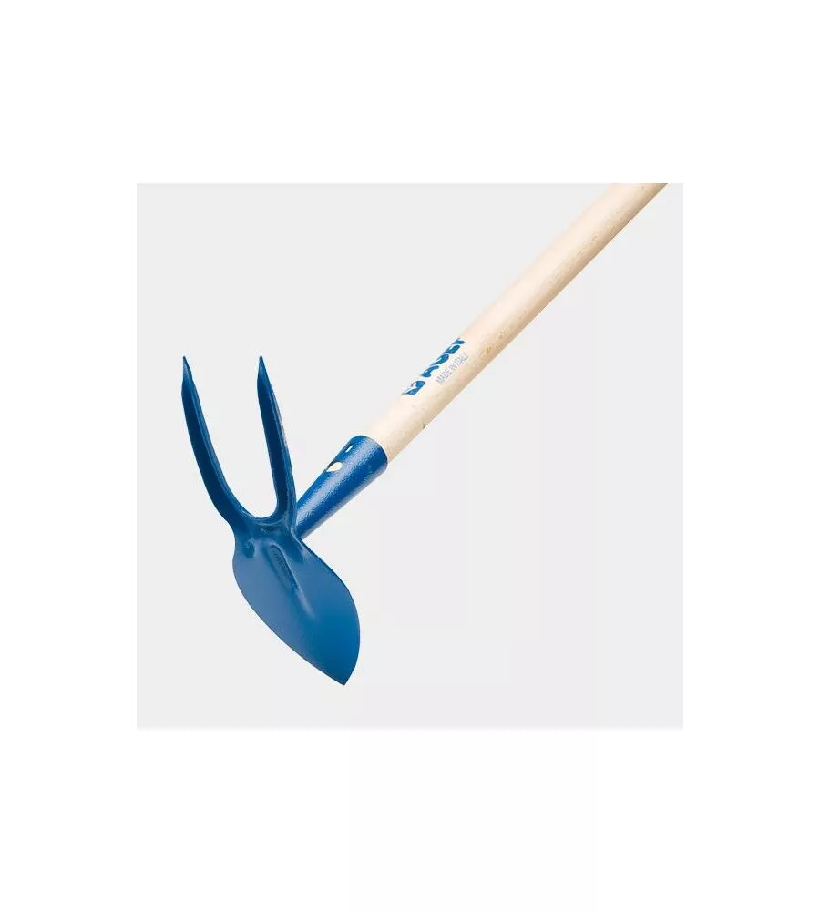 ZAPPETTA CUORE BIDENTE - CANNA CONICA