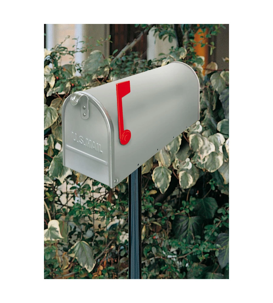 CASSETTA POSTALE TOPOLINO ARG. 22X48
