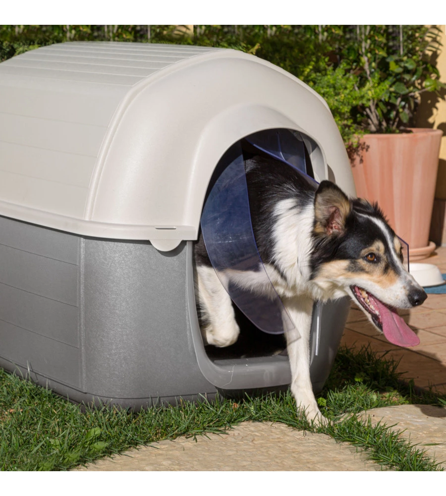 PORTA PER CUCCE FERPLAST "KENNY 07" IN PLASTICA TRASPARENTE 32,6X0,2X53,5 CM