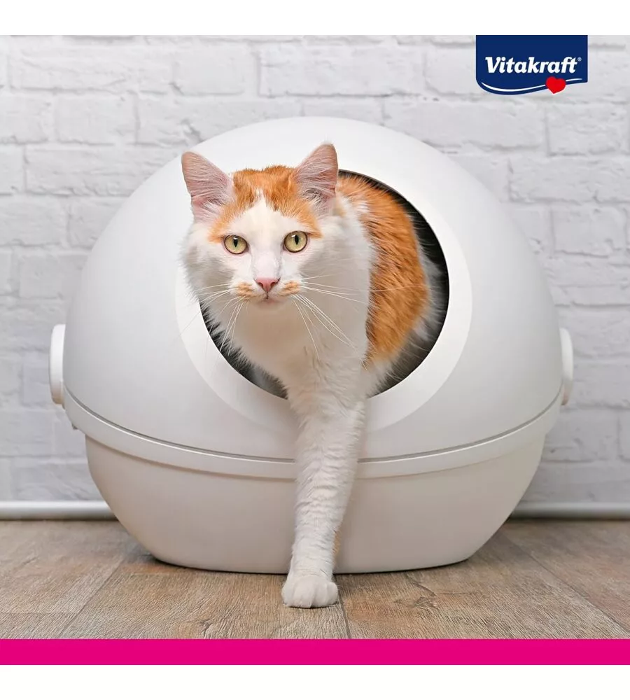 LETTIERA SABBIA GATTO SILICIO VITAKRAFT "MAGIC CLEAN" 5 LITRI