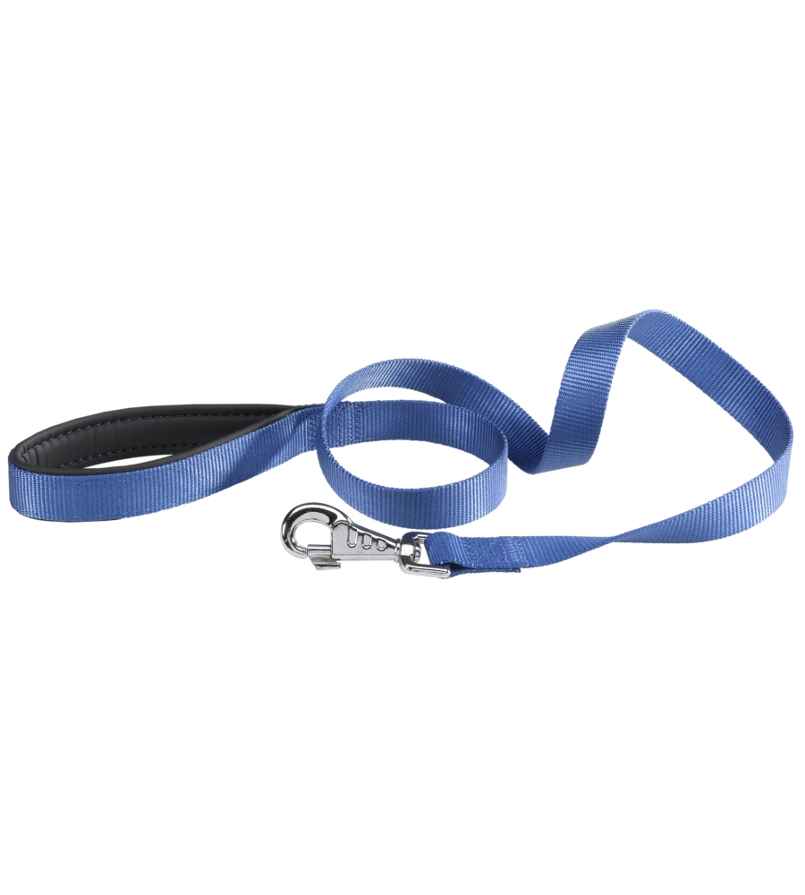 DAYTONA G25/120 BLU GUINZ. - FERPLAST.