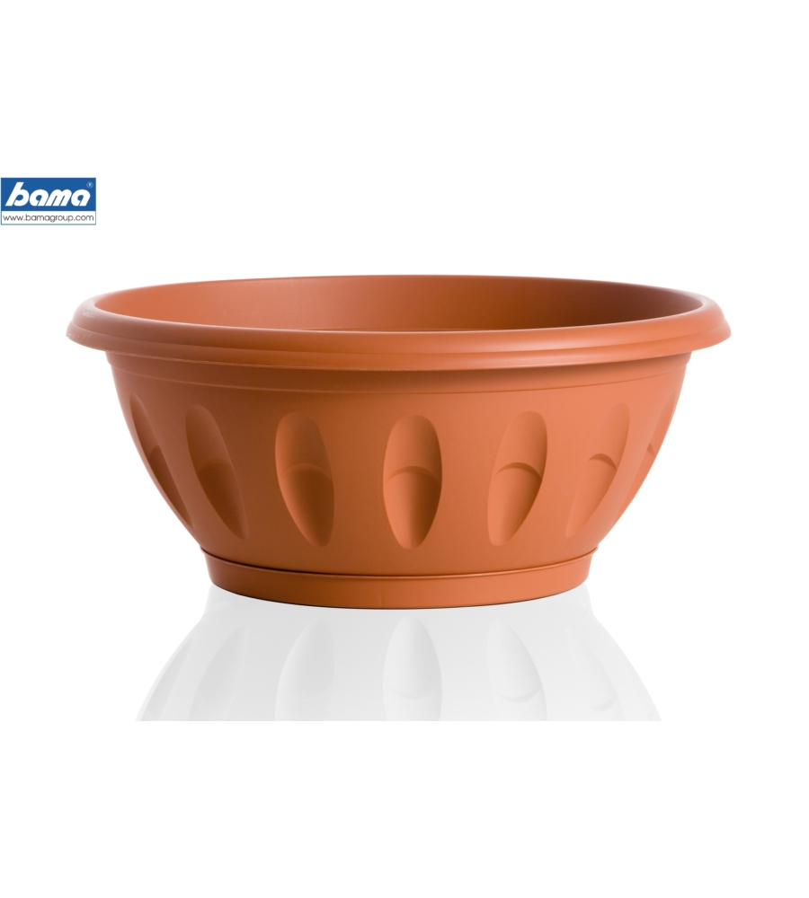 CIOTOLA ALBA D. 60 TERRACOTTA