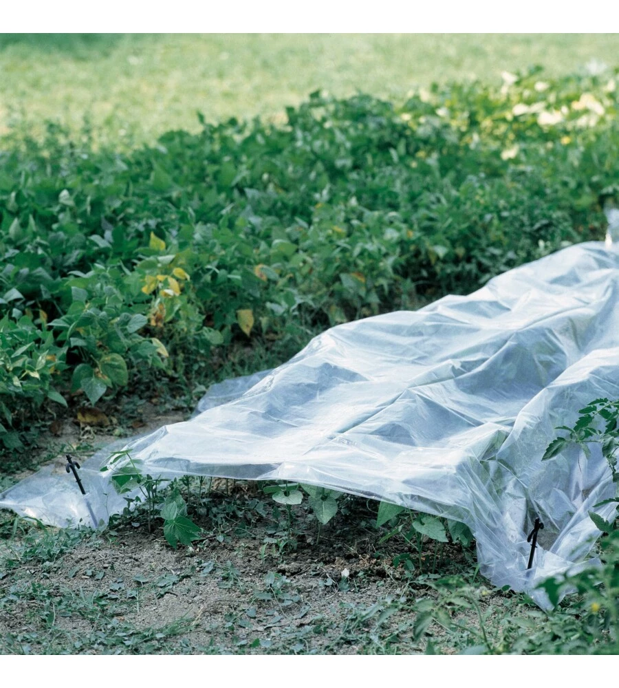TELO FORZATURA TRASPARENTE 2X10M