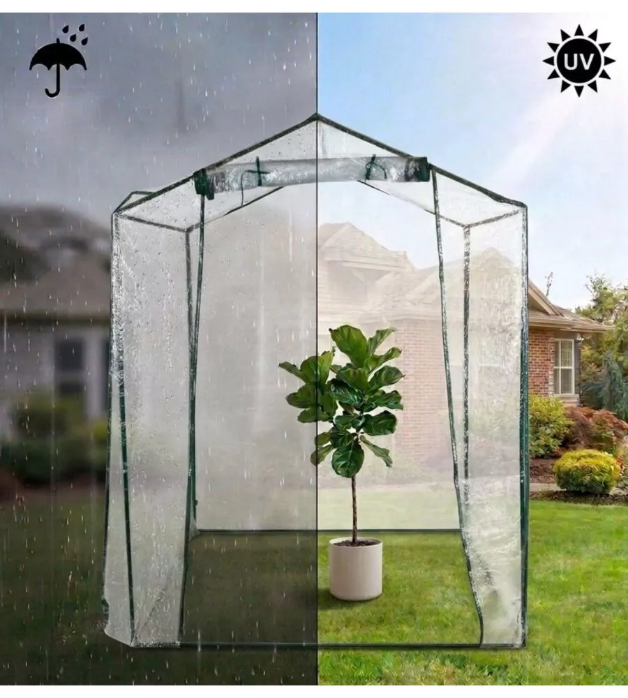 Serra da esterno EuroGarden "Francesca" 155x155x205 cm