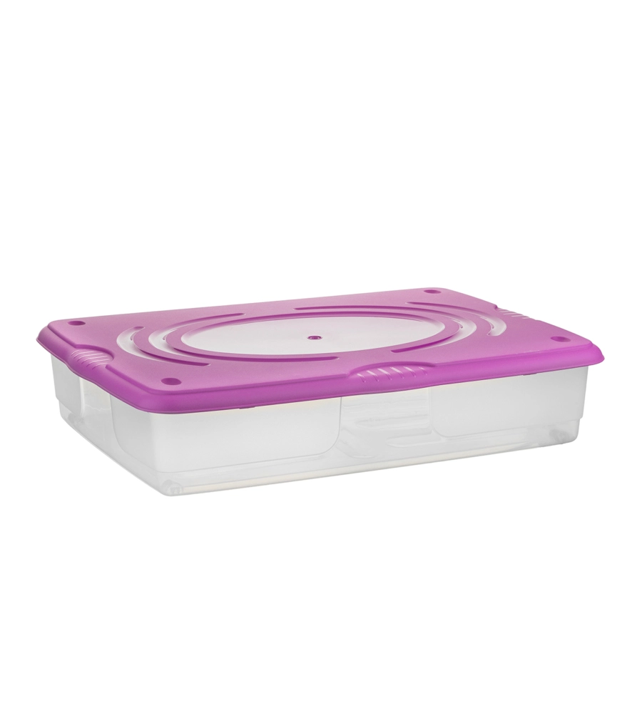 CONTENITORE IN PLASTICA CON COPERCHIO BAMA "STAGIONE" 60 LITRI, 80X60X18 CM