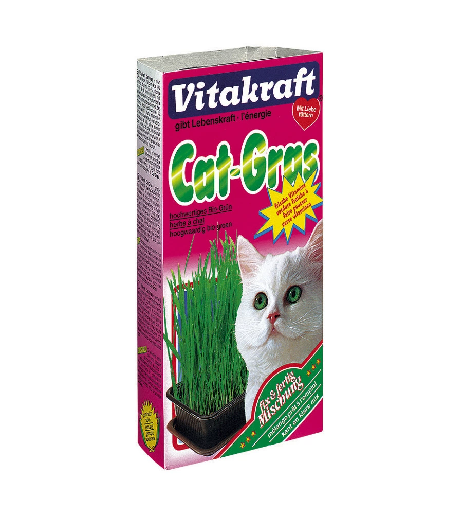 ERBA GATTA IN VASCHETTA
