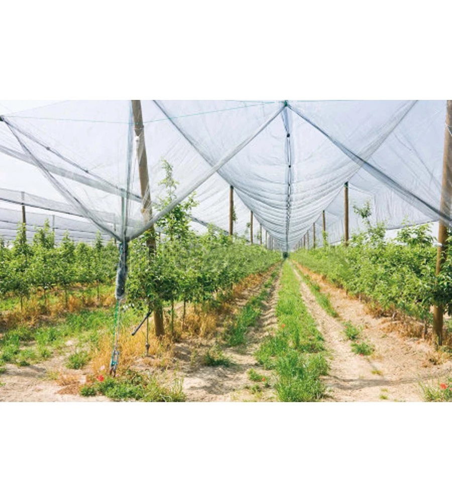 Rete Antigrandine - Teli Copertura Orto E Aiuole - Foto 11