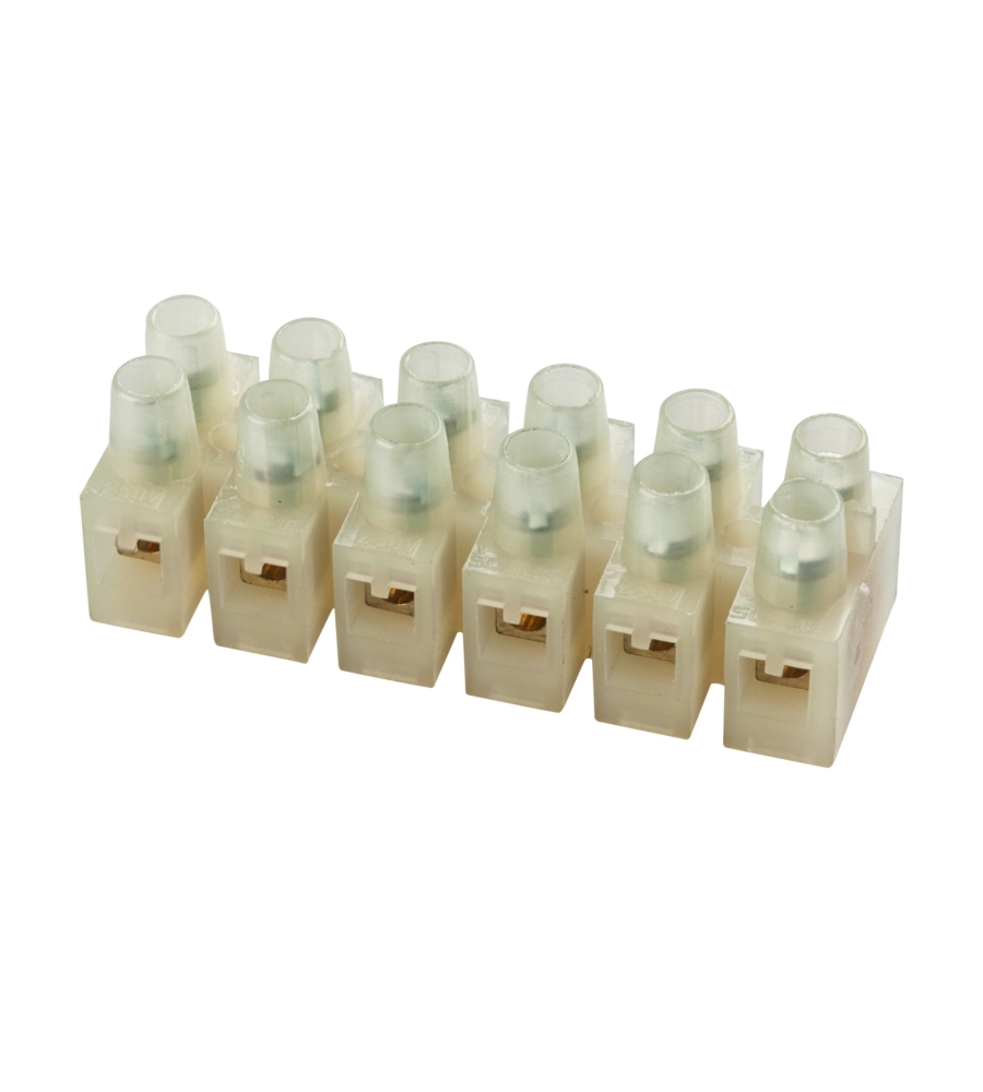 POLY POOL - MORSETTIERA 450 V~ A 12 POLI SEZIONE 4 MM² BIANCHE