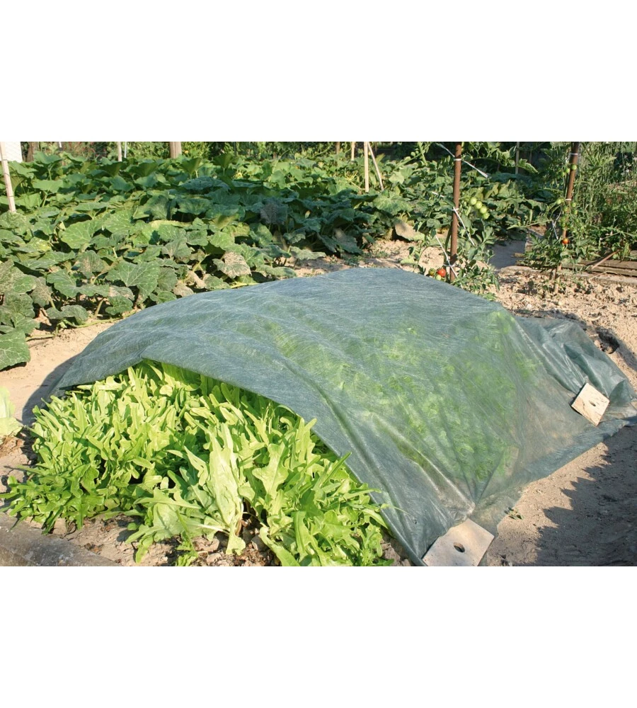 TELO/VELO DI PROTEZIONE IN TNT VERDE DA 1.6X5 METRI - VERDEMAX.