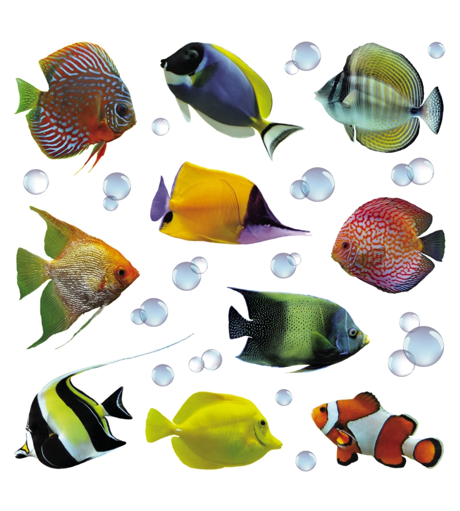 STICKERS M PESCI  - DECORO CREARREDA.