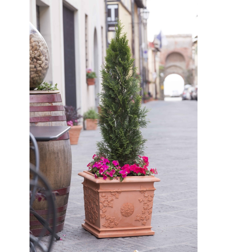 VASO VITE CM 44X44