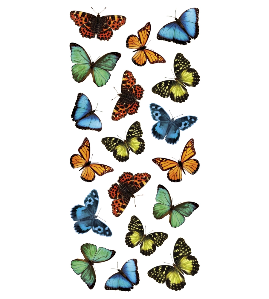STICKERS S COLORFUL - DECORO CREARREDA.