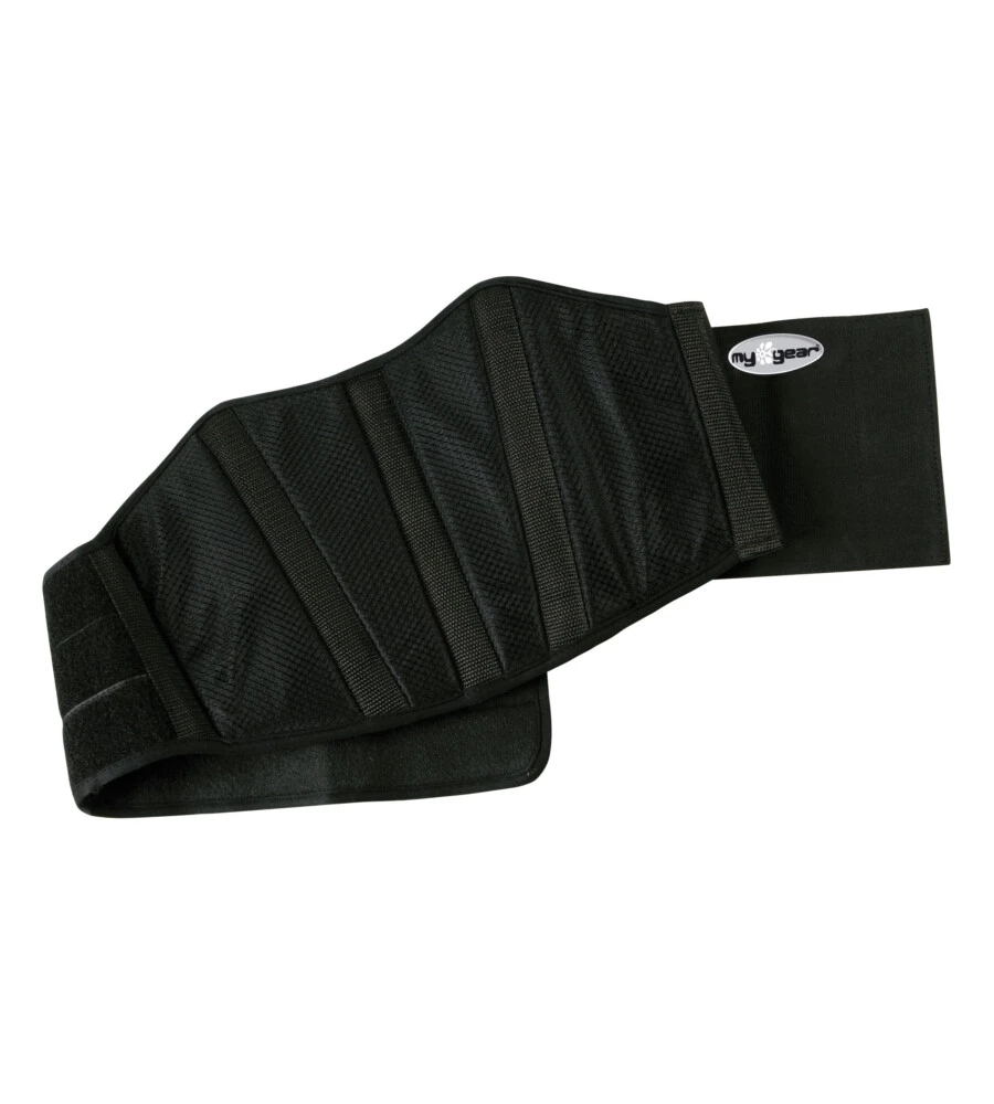FASCIA RENI T-MAXTER MY GEAR  91328