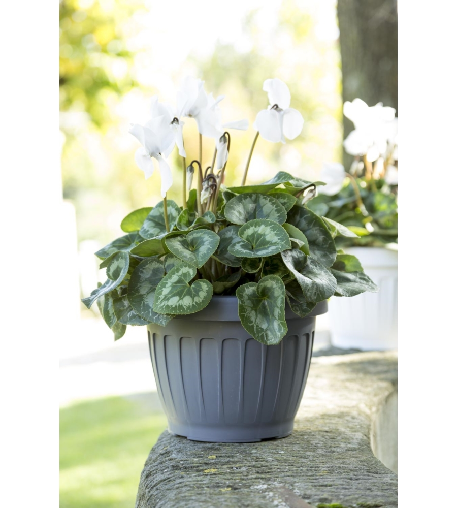 VASO TERRA  D. 25 GRIGIO