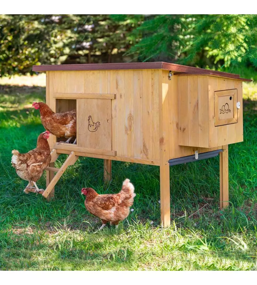 CASETTA POLLAIO PER GALLINE IN LEGNO "HEN HOUSE 30", 162X100X110 CM - FERPLAST