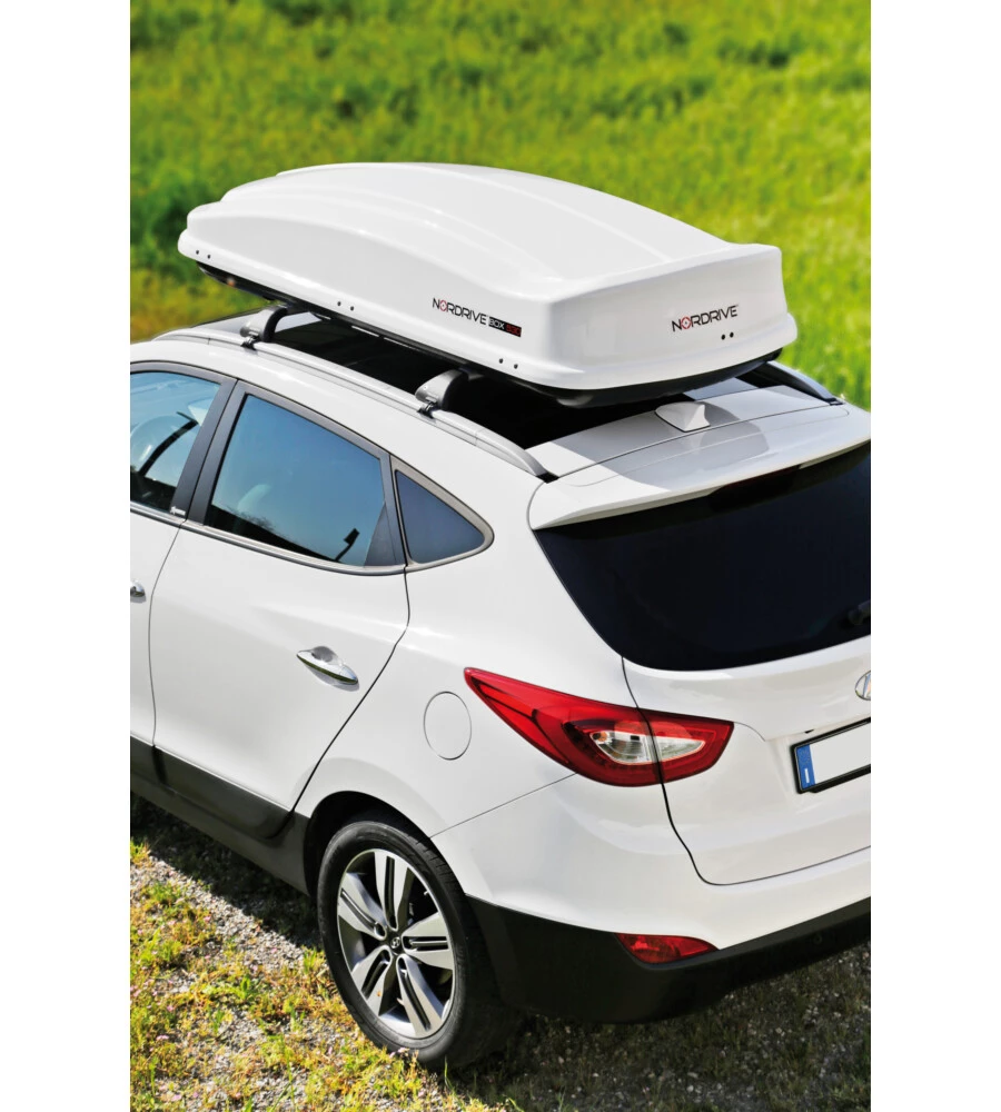 BOX TETTO PER AUTO 530 LITRI  IN ABS ARGENTO LUCIDO - N60021