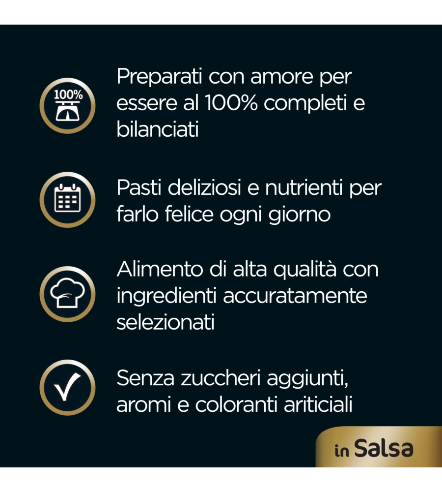 CESAR - UMIDO PER CANI IN SALSA, 4 PZ