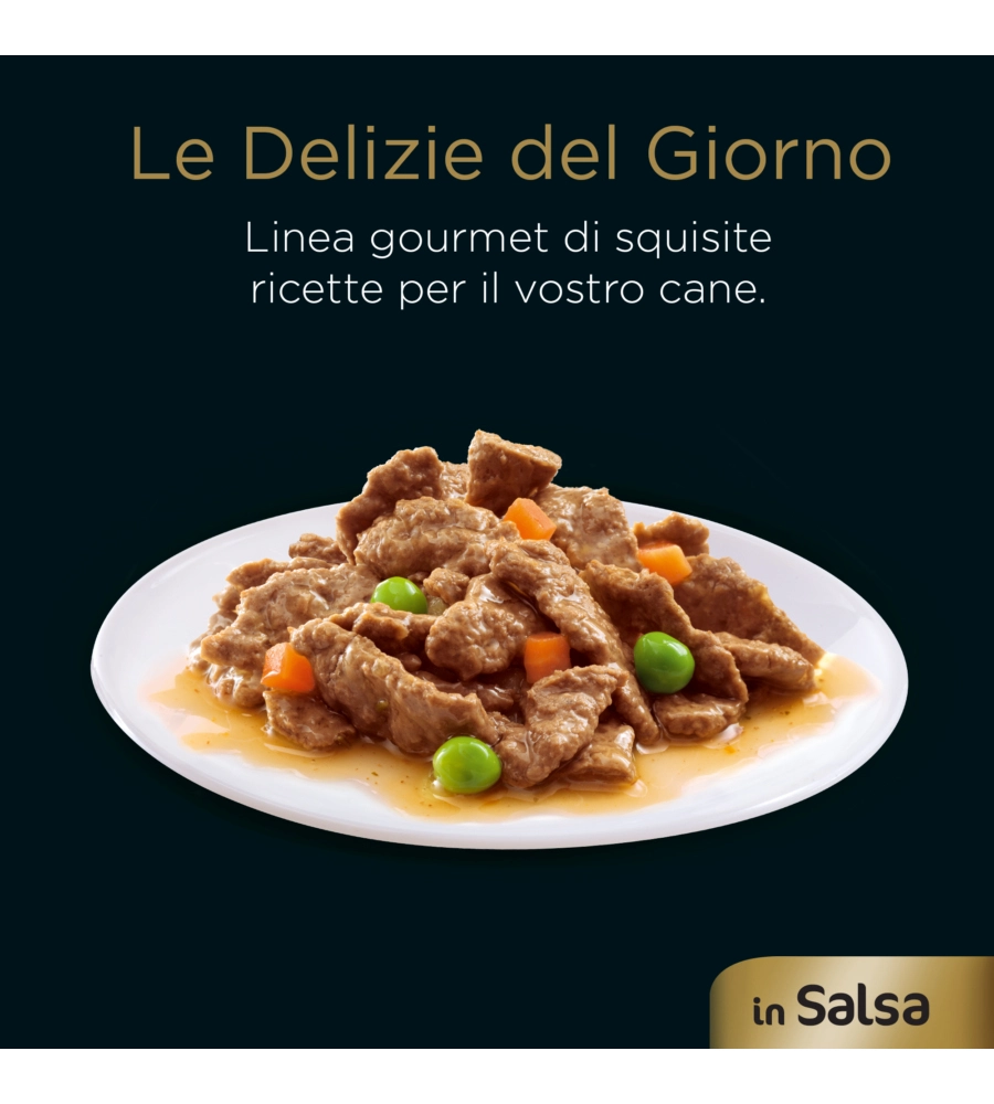 CESAR - UMIDO PER CANI IN SALSA, 4 PZ