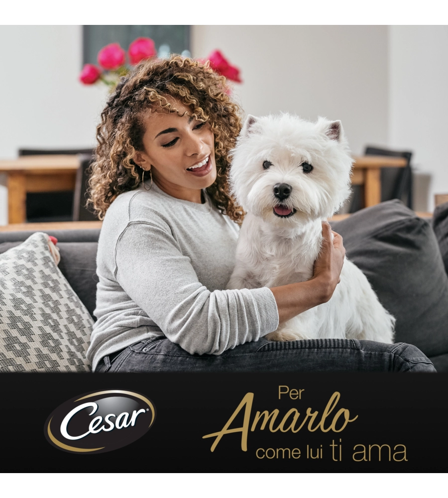 CESAR - UMIDO PER CANI IN SALSA, 4 PZ
