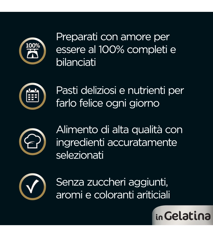 CESAR - UMIDO PER CANI IN GELATINA, 4 PZ