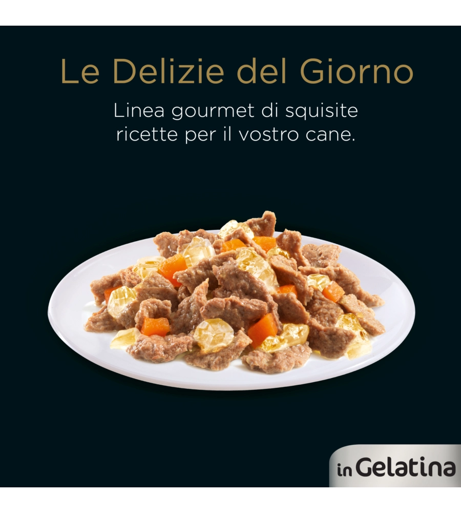 CESAR - UMIDO PER CANI IN GELATINA, 4 PZ