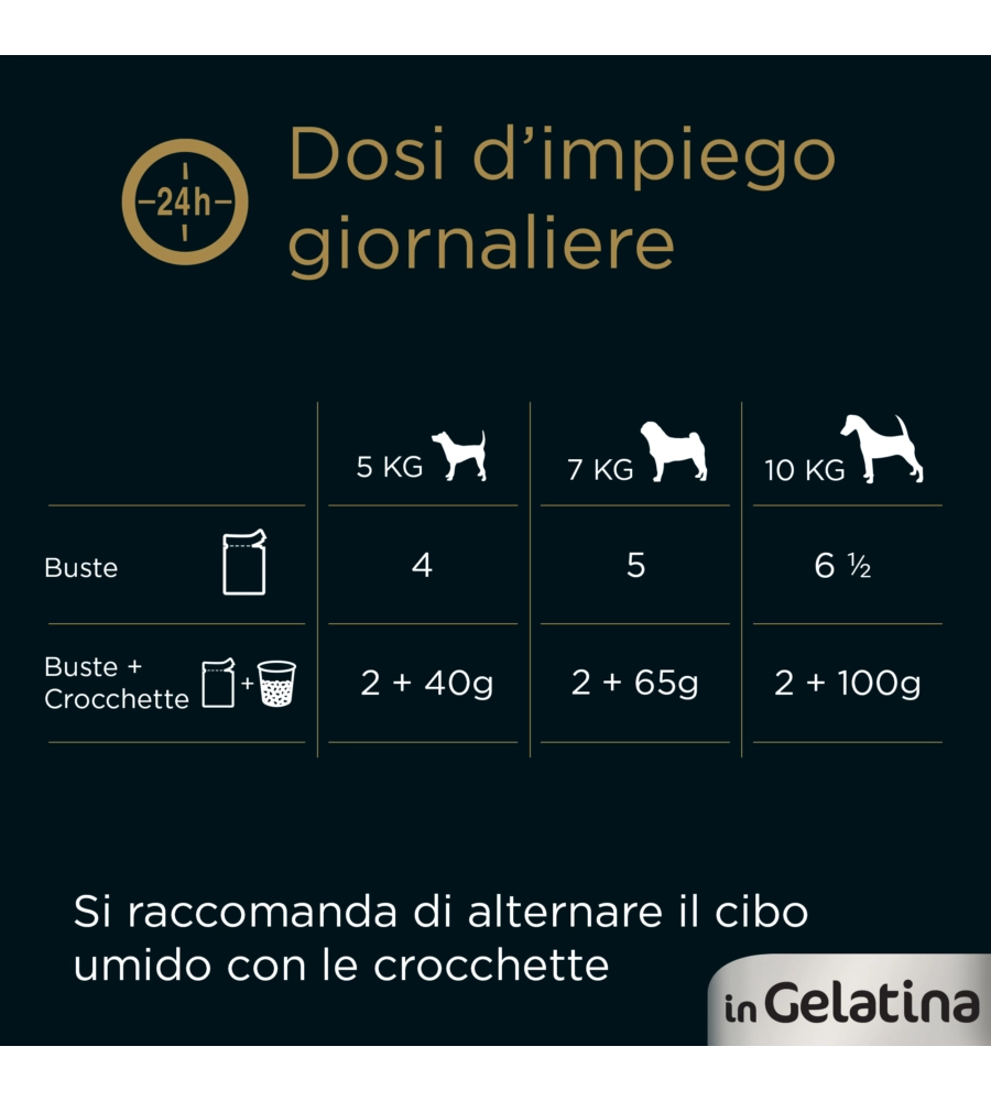 CESAR - UMIDO PER CANI IN GELATINA, 4 PZ