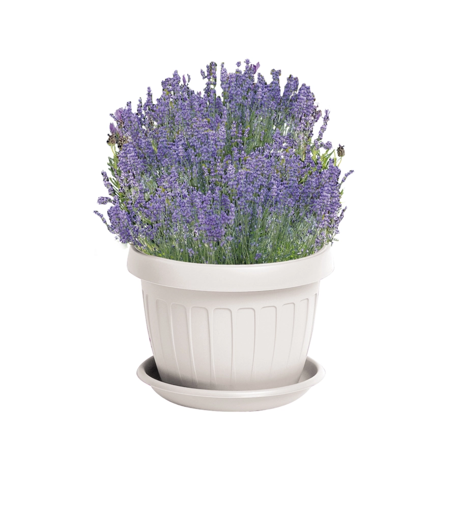 VASO TERRA D. 35 BIANCO
