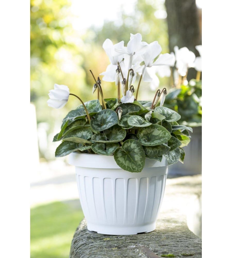 VASO TERRA D. 35 BIANCO