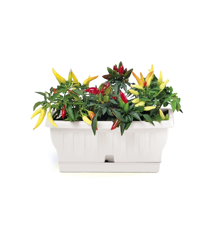 FIORIERA NATURA CM 30 BIANCO