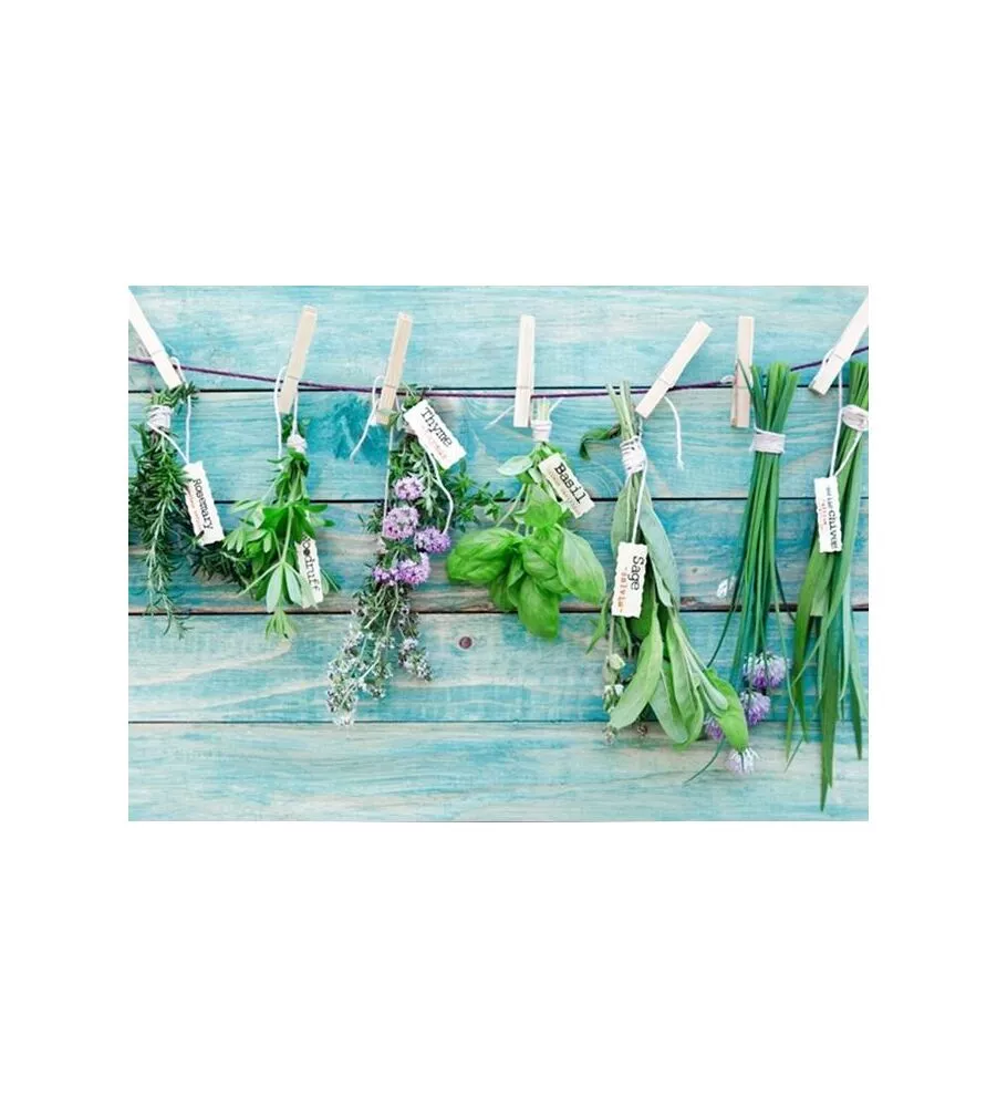 STICKER PER PIANO COTTURA "KP HERBES" ERBE AROMATICHE - 47X65 CM