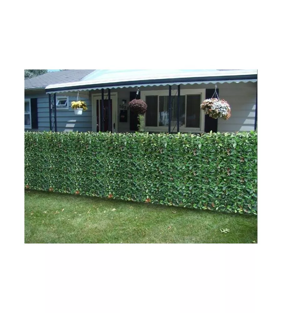 SIEPE ARTIFICIALE IN PVC EUROGARDEN "LAURO" 3X1 MT