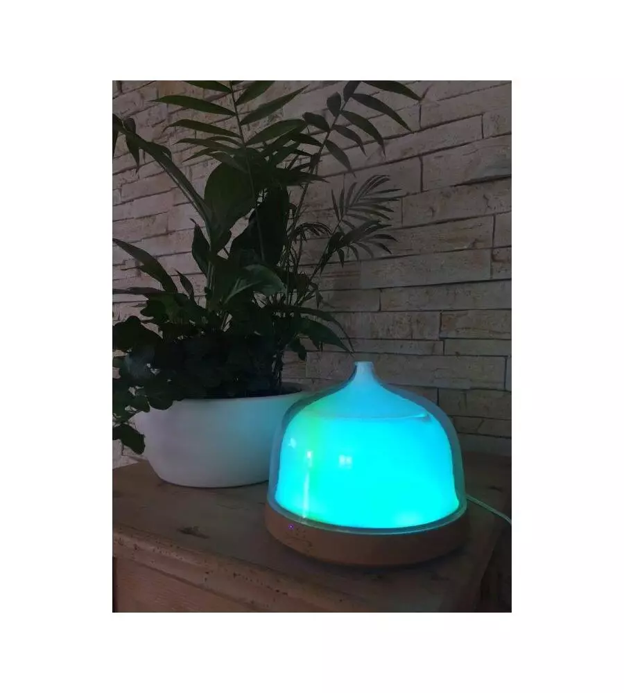 DIFFUSORE PER AMBIENTI DA 200 ML
