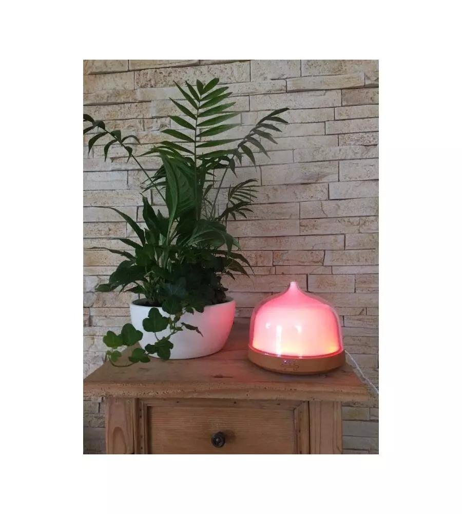 DIFFUSORE PER AMBIENTI DA 200 ML