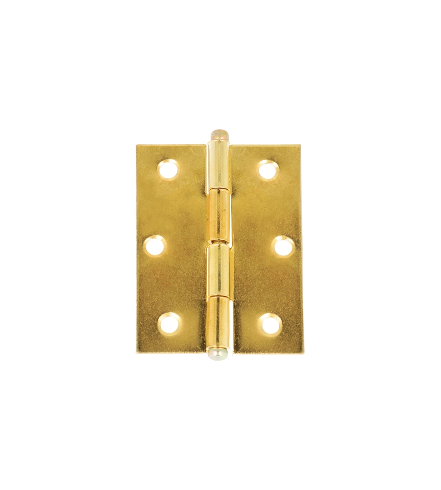 CERNIERE CON SPINA A LEVARE IN FERRO OTTONATO 35X40 MM. 2 PZ.