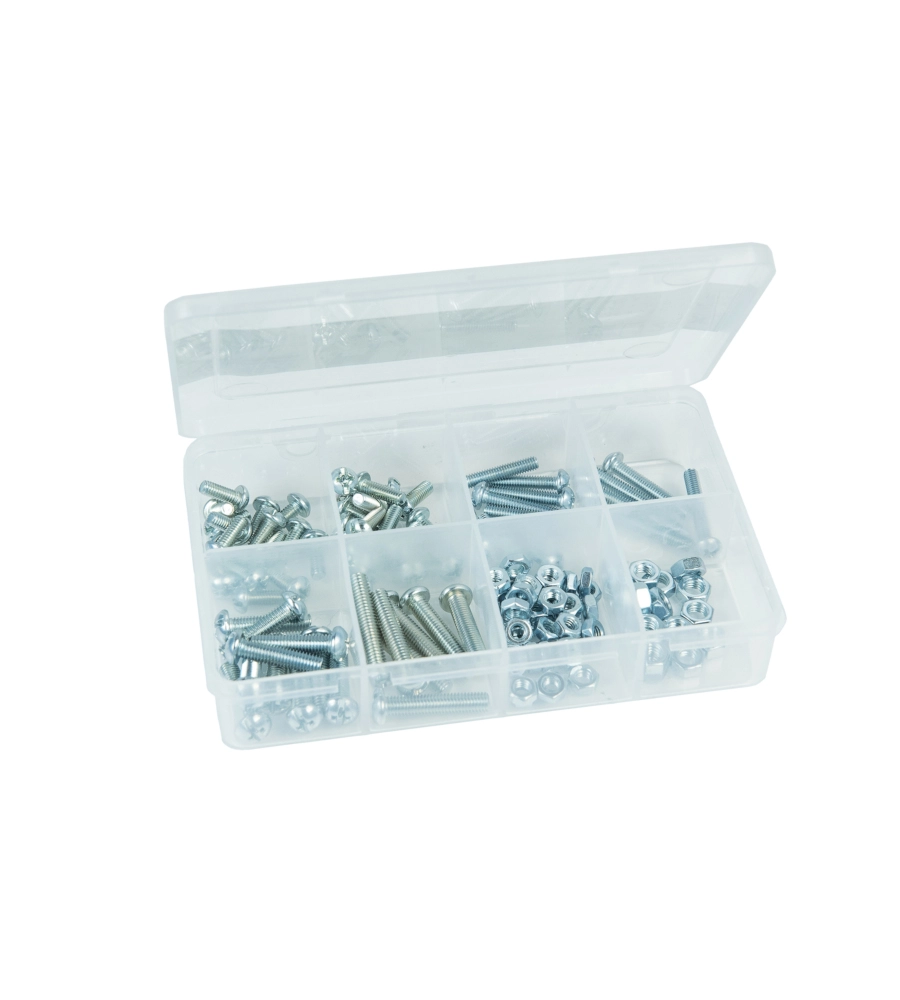 ASSORTIMENTO VITI METRICHE E DADI 125 PZ.