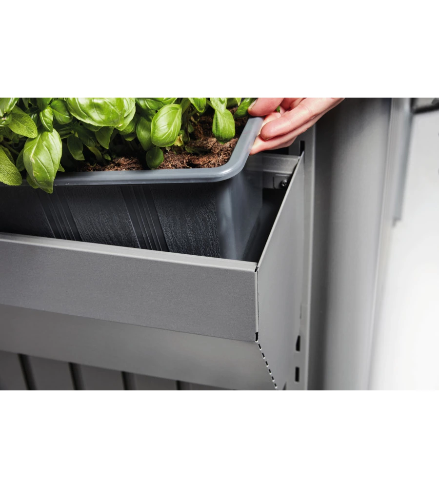 BIOHORT FLORABOARD GRIGIO QUARZO