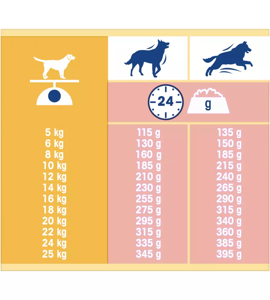 CROCCHETTE PER CANI PURINA "DOG CHOW CLASSIC" ADULTO DI TUTTE LE TAGLIE CON SALMONE 10 KG