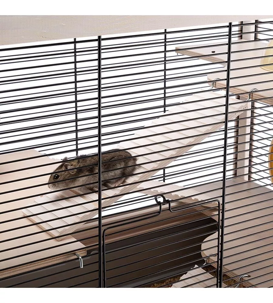GABBIA PER RODITORI "HAMSTERVILLE" NERA, 60X34X49 CM - FERPLAST