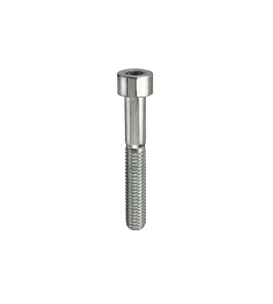 VITI TESTA CILINDRICA EAGONO INCASSATO M10 X 120 - 2 PZ.