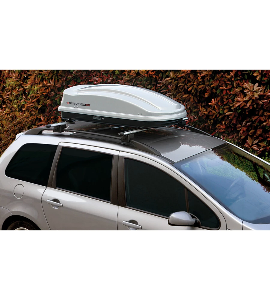BOX TETTO PER AUTO 330 LITRI IN ABS ARGENTO LUCIDO - N60001