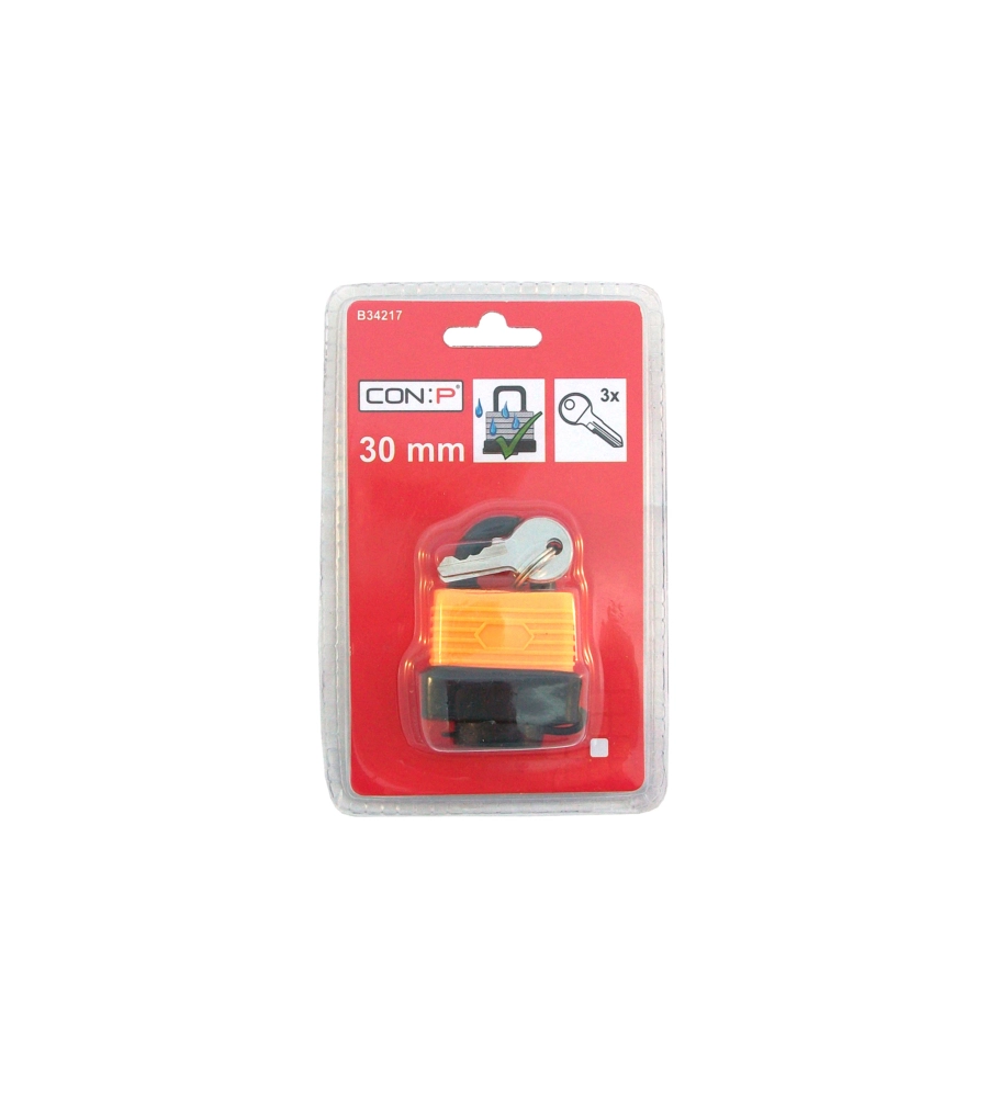 LUCCHETTO ACCIAIO ZINCATO IDROREPELLENTE 30 MM.