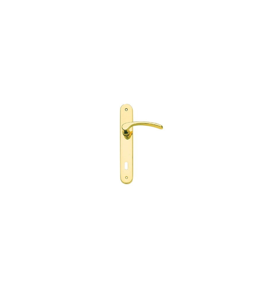 GUARNITURA CON PLACCA SERIE EVA - 90 MM. - FORO CHIAVE - OTTONE LUCIDO