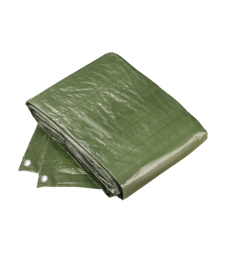TELO DI PROTEZIONE 5 X 6 MT., 100G